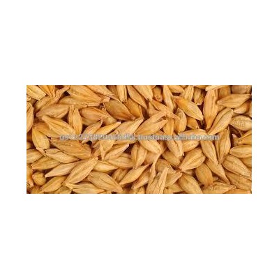 barley