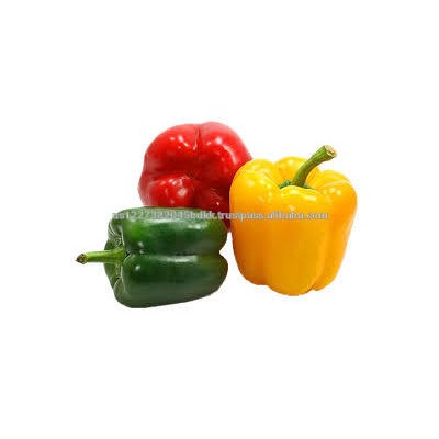 fresh capsicum