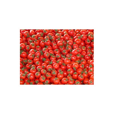 fresh tomatoes